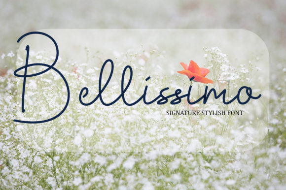 Bellissimo: An Elegant Script Font for Contemporary Design