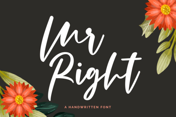 Mr Right: The Authentic Script Font with Bold Charm
