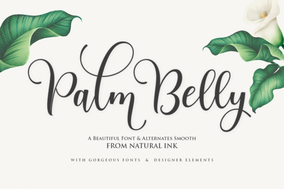 The Unique Rhythm of Palm Belly: Modern Calligraphy Meets Digital Utility