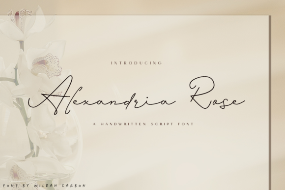 Understanding Alexandria Rose: A Font for Elegant Communication