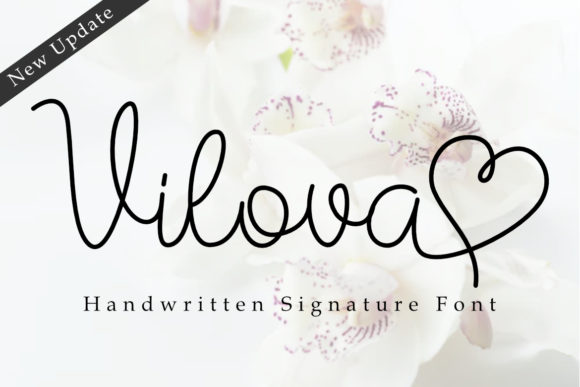 Vilova: The Elegant Script Font for Sophisticated Design